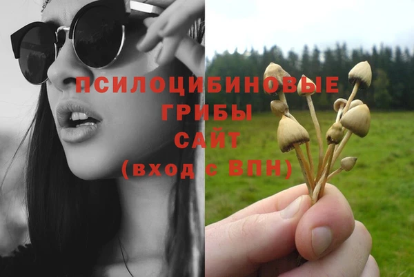 spice Куйбышев