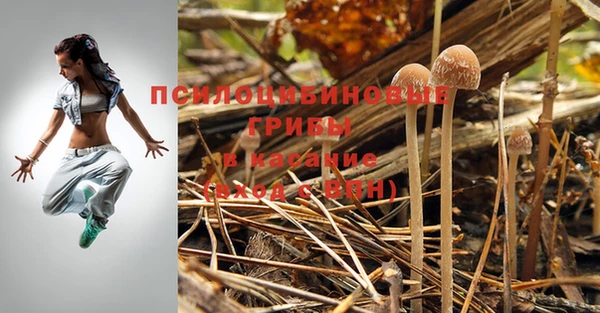 героин Кукмор