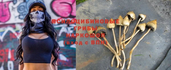 spice Кулебаки